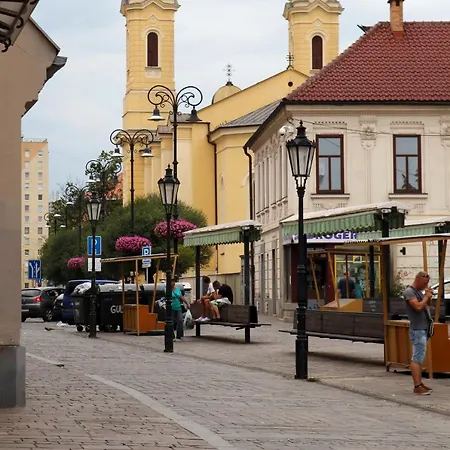 Moyzesova